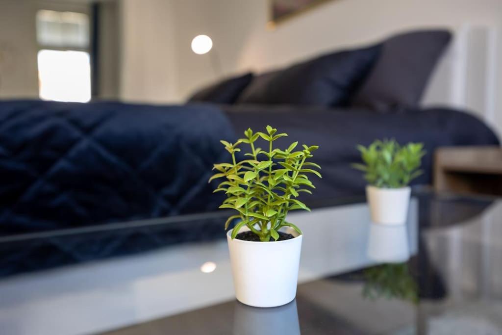 Royal Blue Deluxe Appartement *